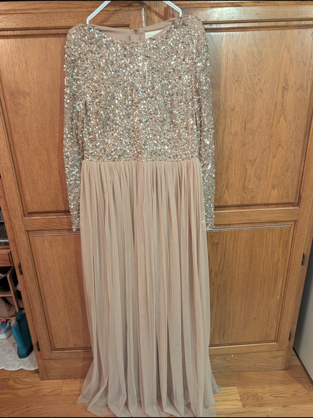 Sequin Bodice Long Sleeve Chiffon Maxi Dress - Blush